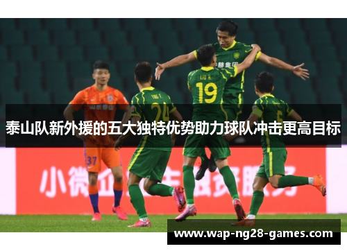泰山队新外援的五大独特优势助力球队冲击更高目标