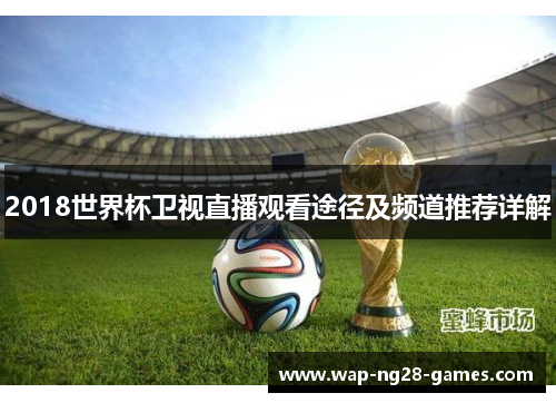 2018世界杯卫视直播观看途径及频道推荐详解