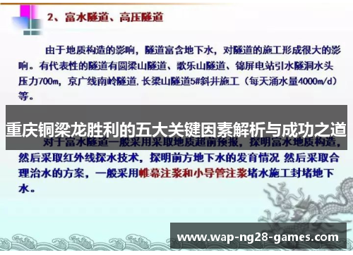 重庆铜梁龙胜利的五大关键因素解析与成功之道